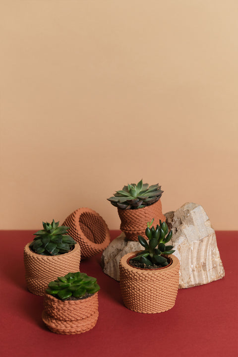 3D printed mini plant pot